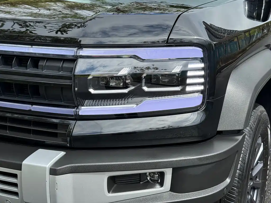 FANG CHENG BAO LEOPARD 5