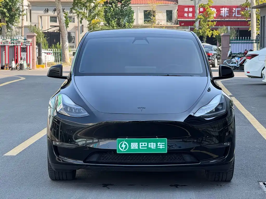 Tesla Model Y — миниатюра 2