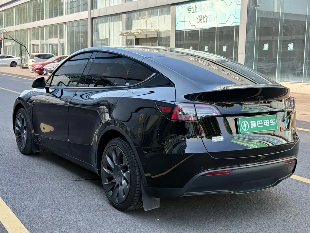 Tesla Model Y — миниатюра 7