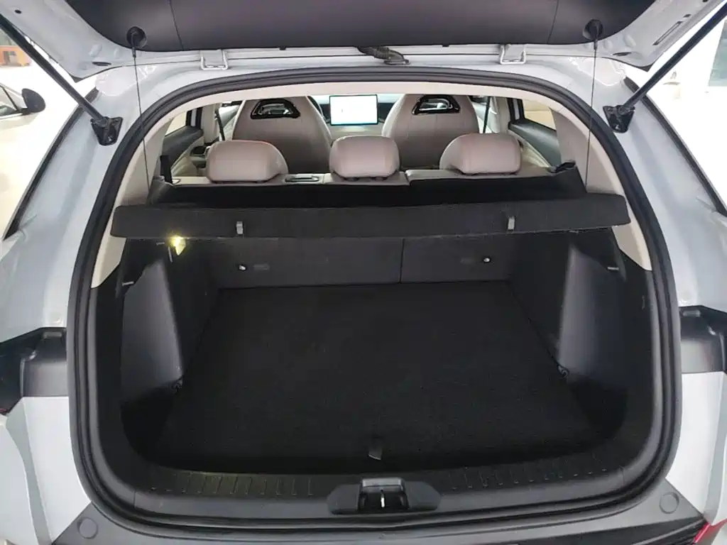 BYD Yuan Plus — миниатюра 19