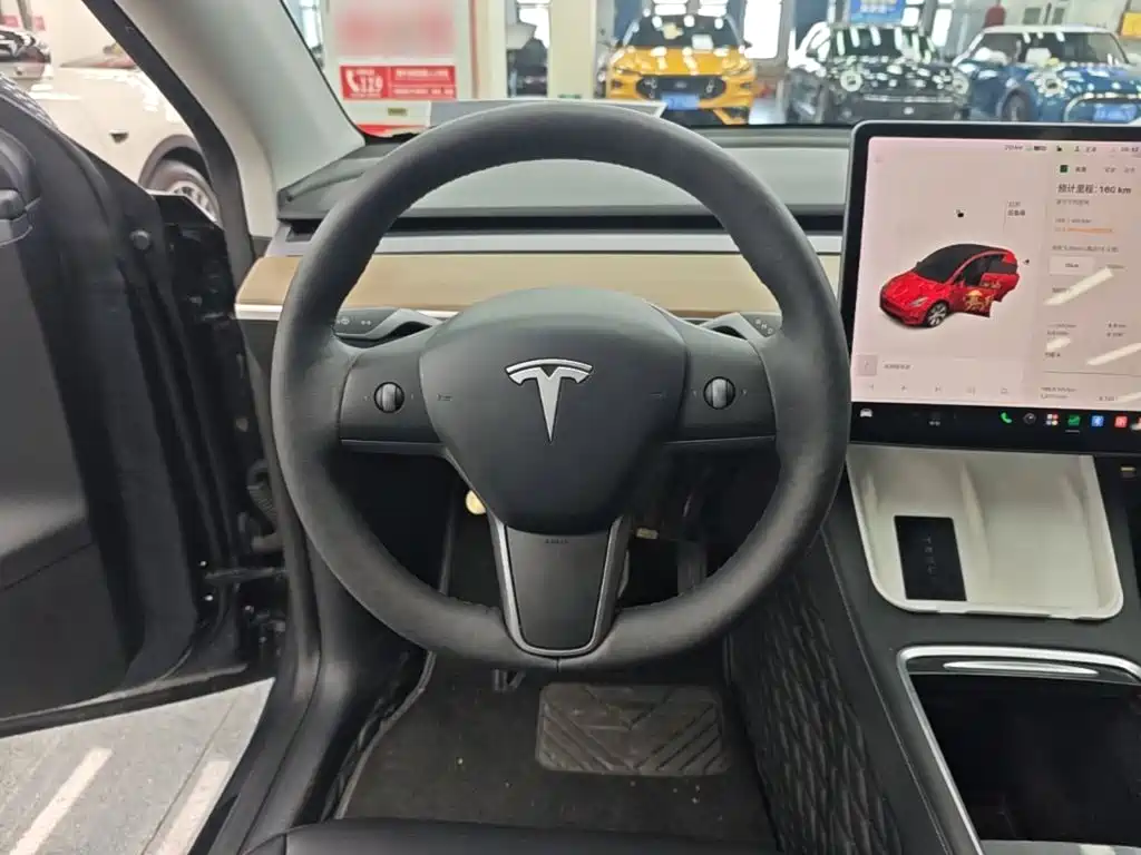 Tesla Model Y — миниатюра 11