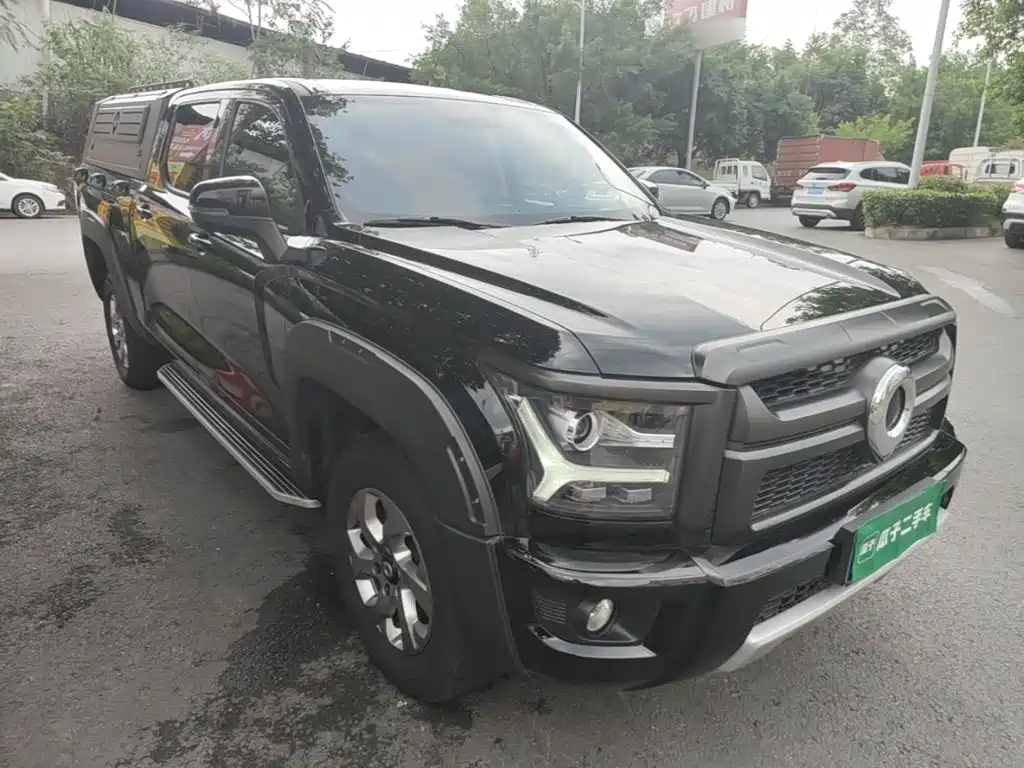 Great Wall King Kong Pao — миниатюра 4