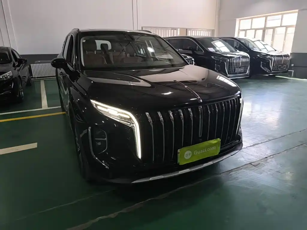 Hongqi Hongqi HS7 PHEV — миниатюра 4