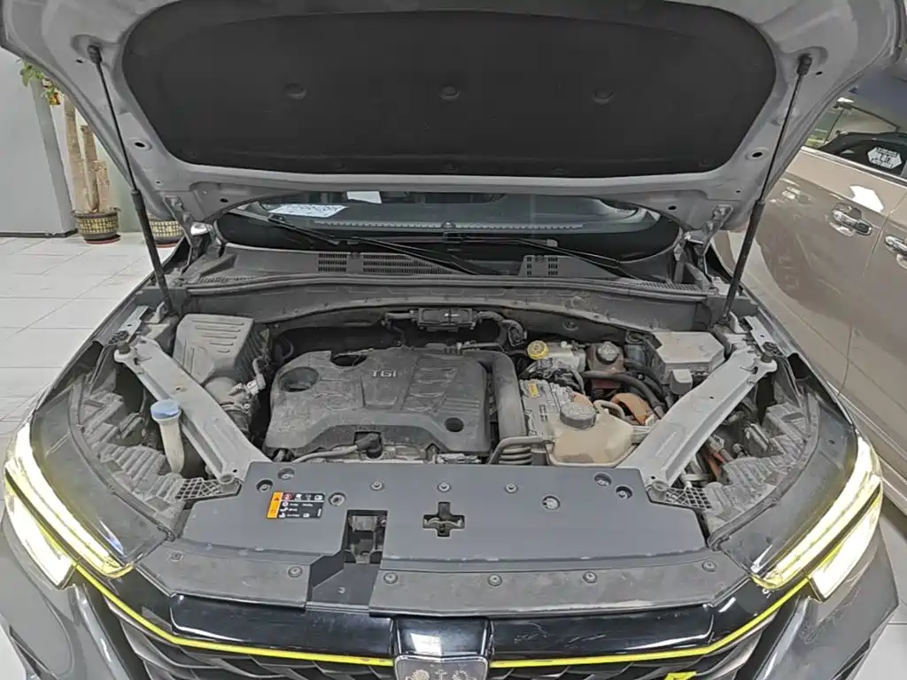 Roewe RX5 New Energy — миниатюра 20