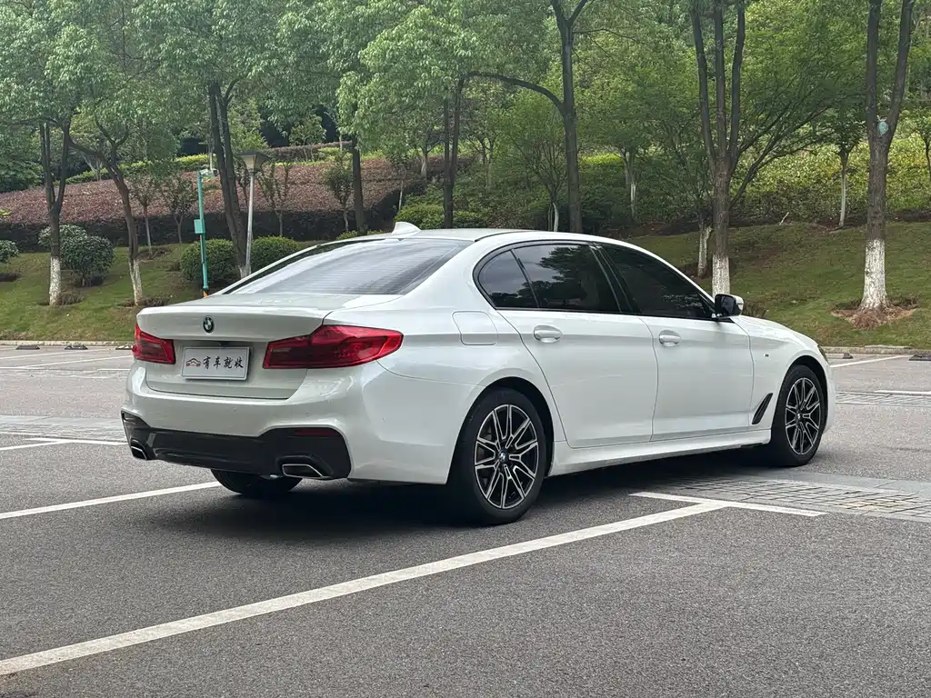 BMW 5 Series 5 2019 525Li M Sport
