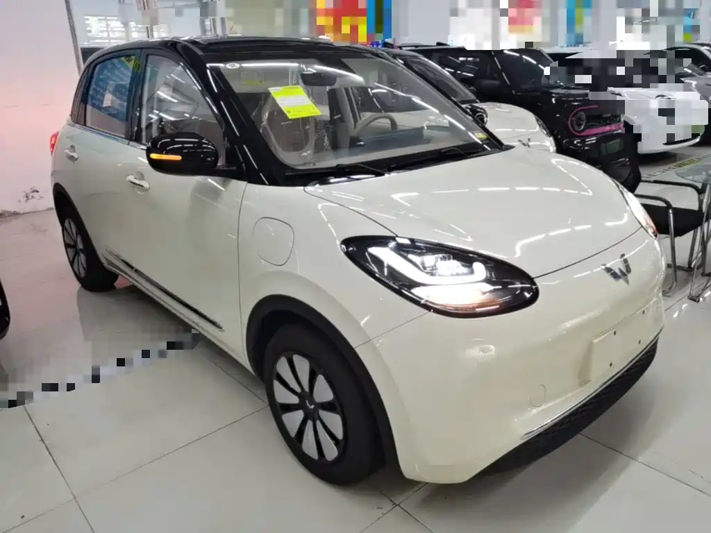 Wuling Binguo 2025 333km Enjoy