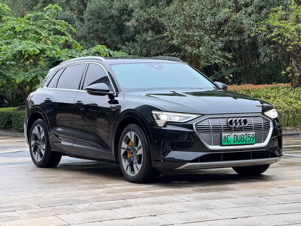 Audi e-tron (Import) — миниатюра 3
