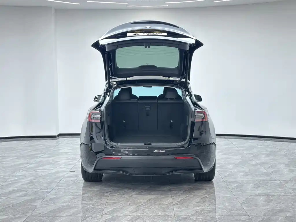 Tesla Model Y — миниатюра 4