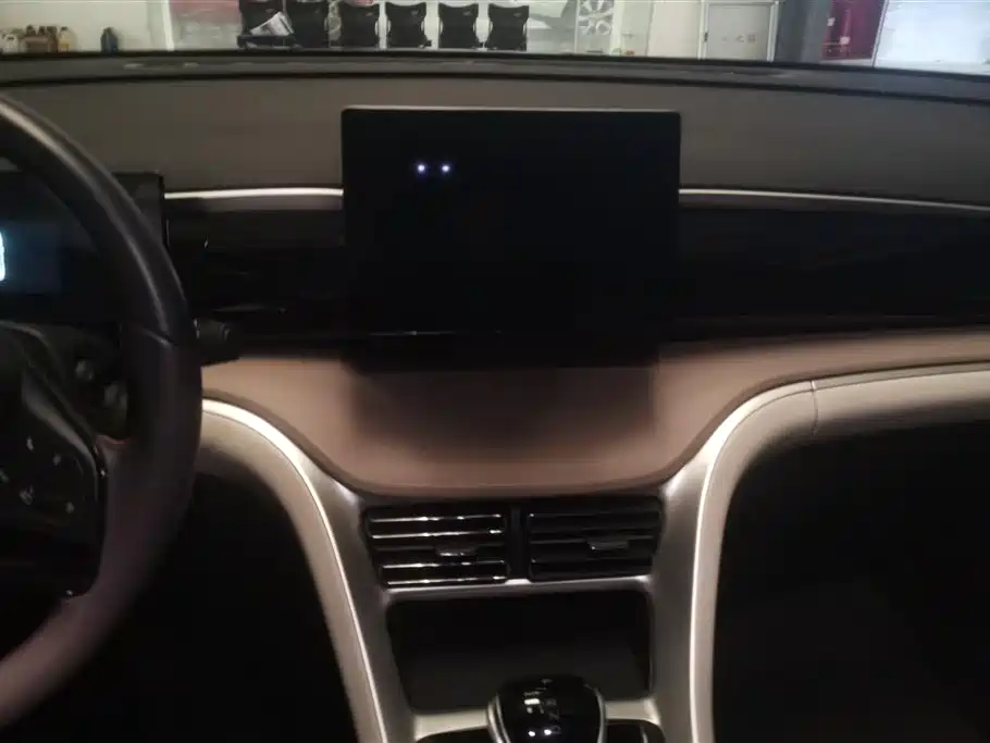 BYD SONGJIANG NEW ENERGY