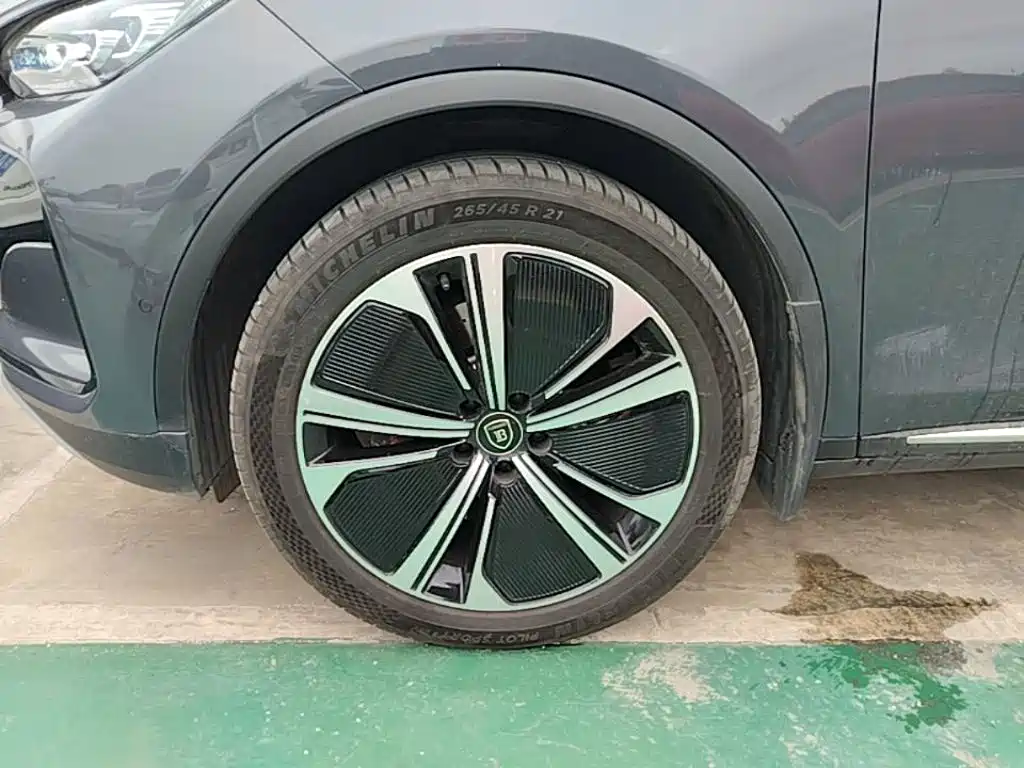 BYD Tang New Energy — миниатюра 23