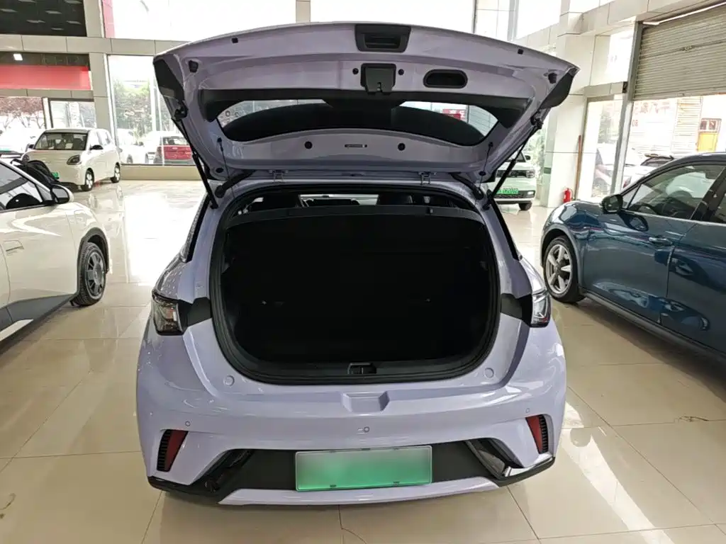 BYD Dolphin — миниатюра 19