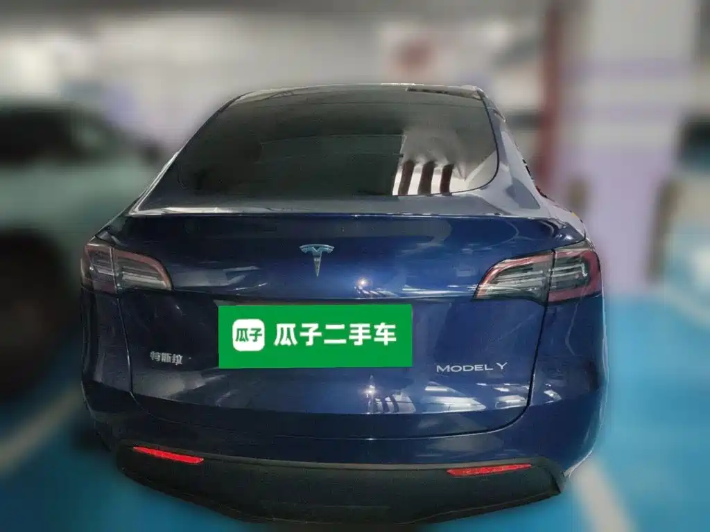 Tesla Model Y — миниатюра 3