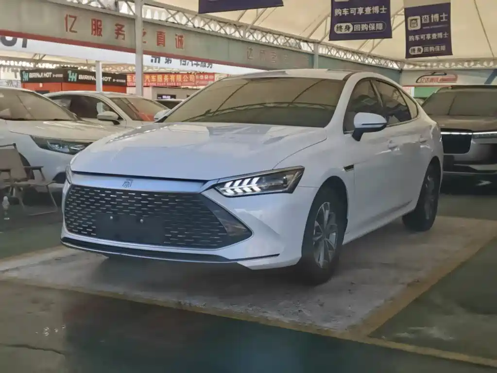 Byd Qin PLUS 2024