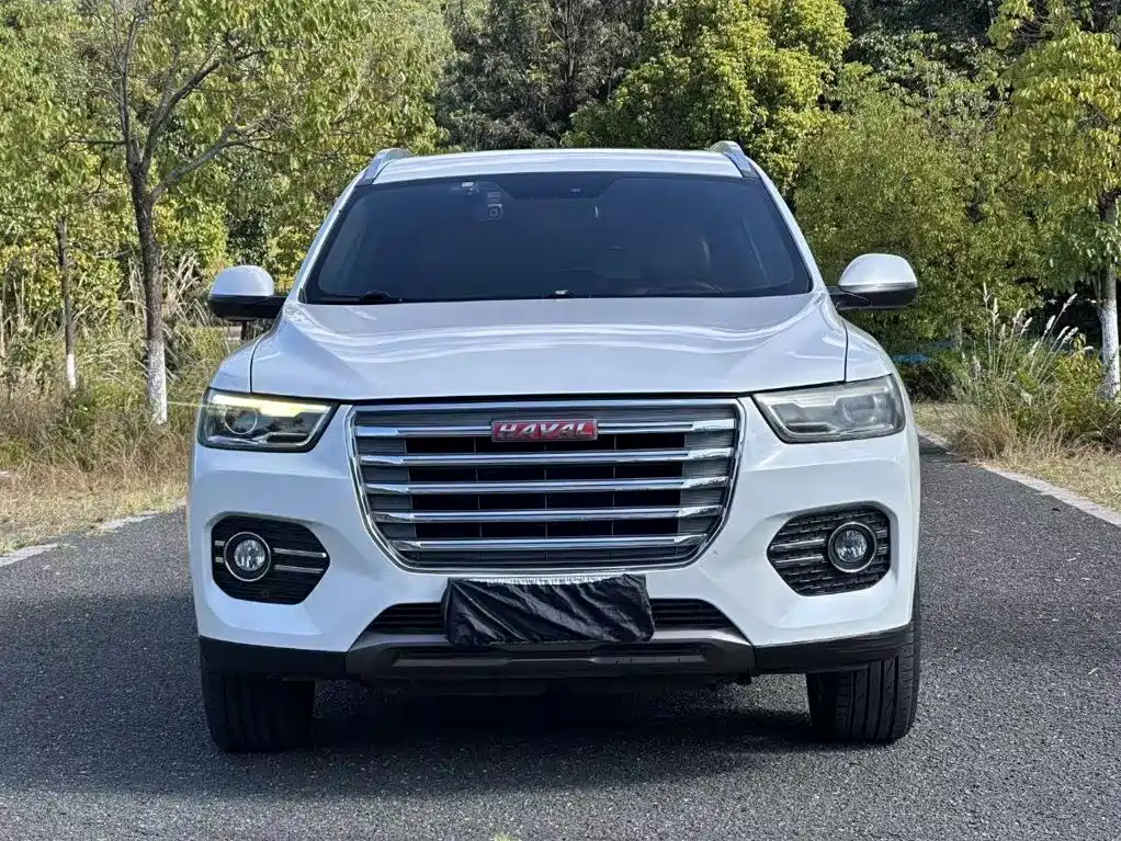 Haval H6 — миниатюра 2