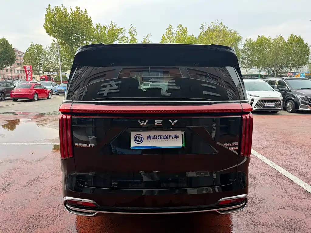 Wey Wey Gaoshan New Energy — миниатюра 5