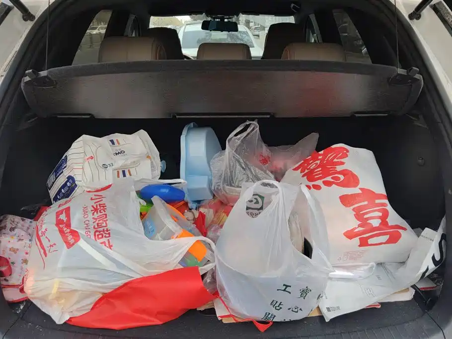 BYD SONGJIANG NEW ENERGY