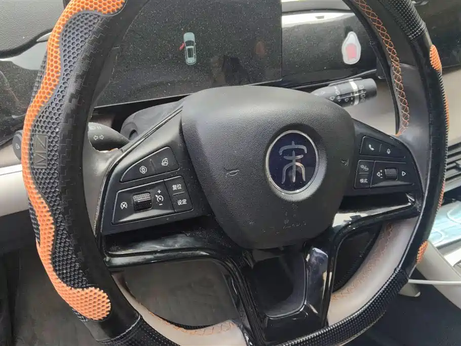 BYD SONGJIANG NEW ENERGY