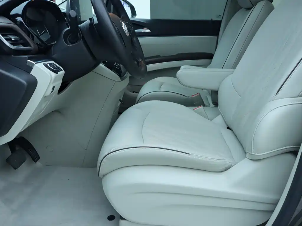 Buick GL8 Land Business Class 652T Luxury Type, фото 5