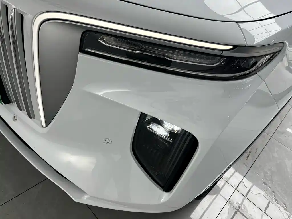 Hongqi Hongqi E-HS9 — миниатюра 6