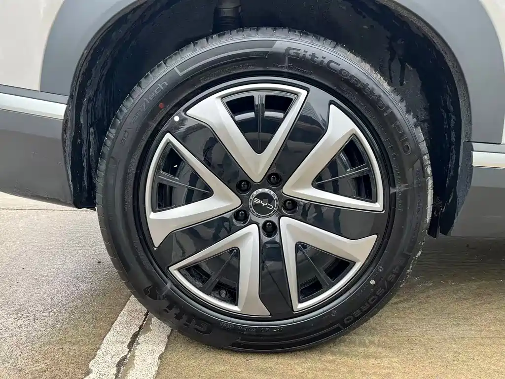 BYD SEA LION 07 DM I