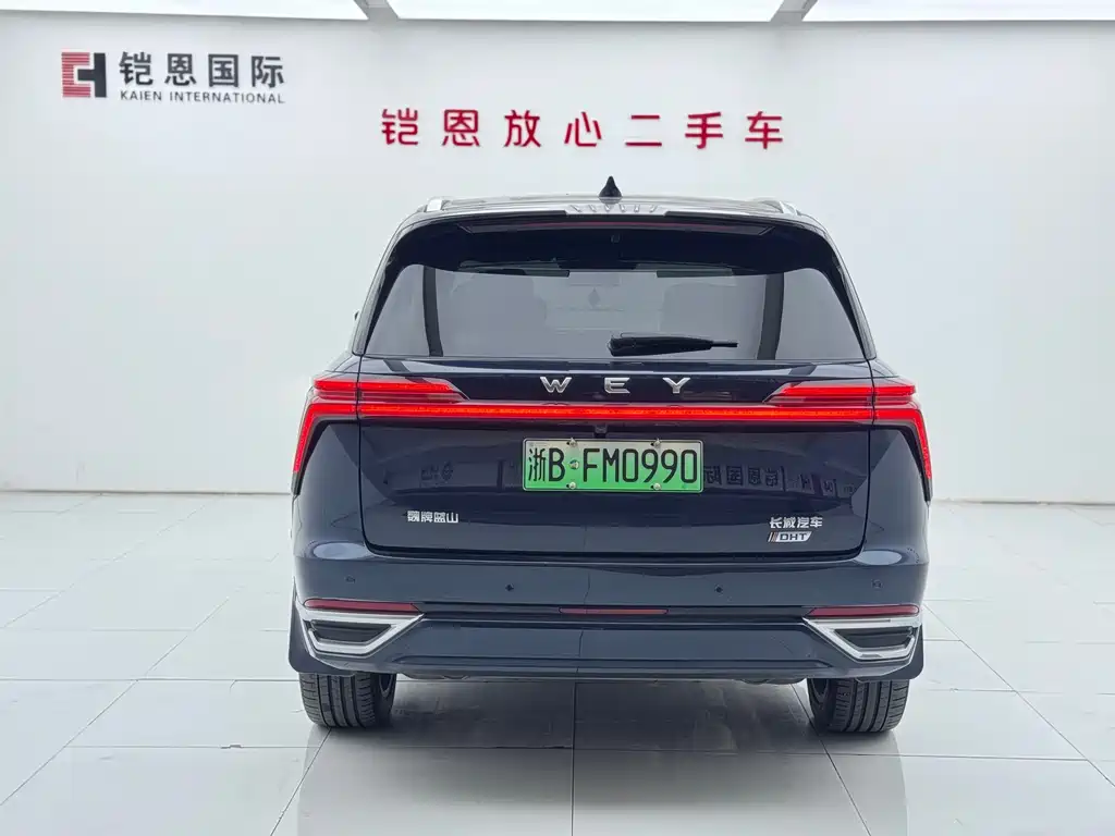 WEI PAI WEI BRAND BLUE MOUNTAIN