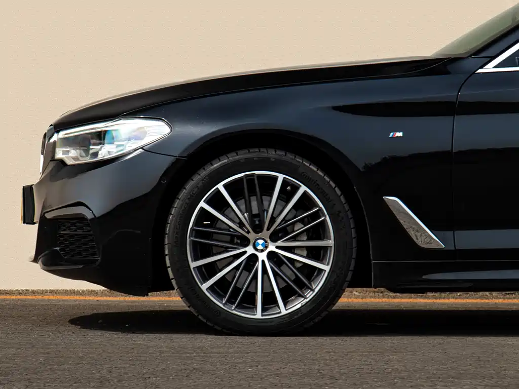 BMW 5 Series 5 2020 530Li xDrive M Sport