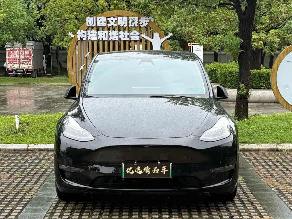 Tesla Model Y — фотографии объявления, Фото 3