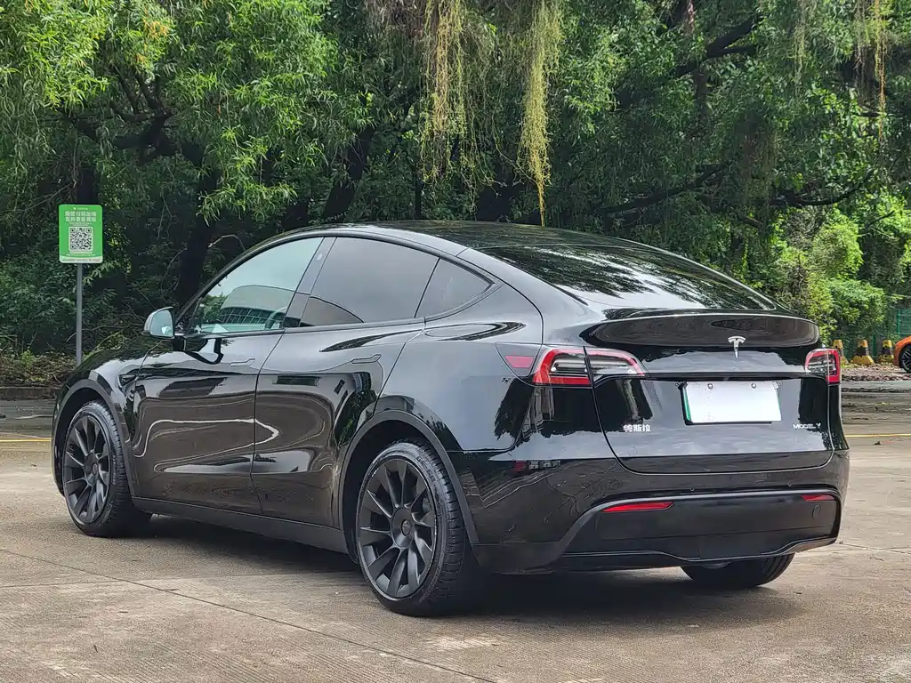 Tesla Model Y — миниатюра 16