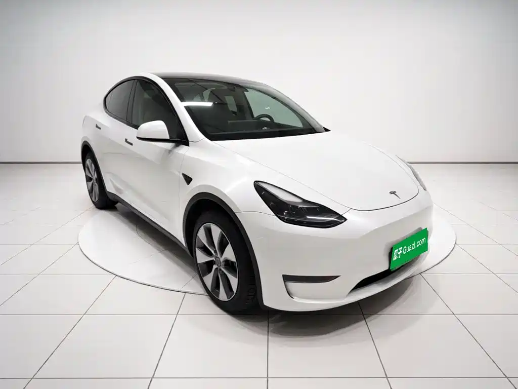 Tesla Model Y — миниатюра 24