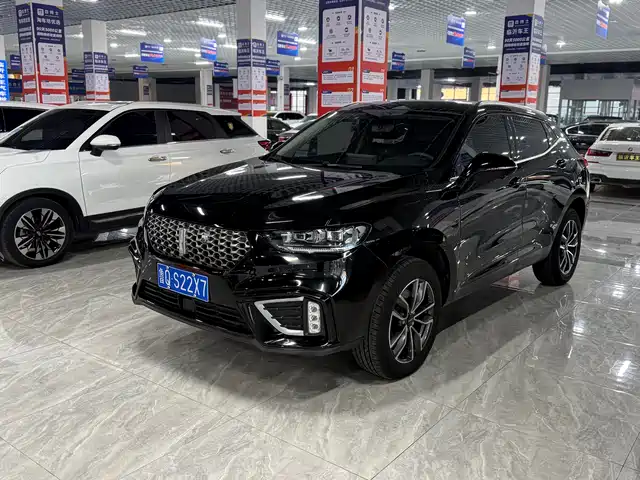 WEI PAI WEI BRAND VV5