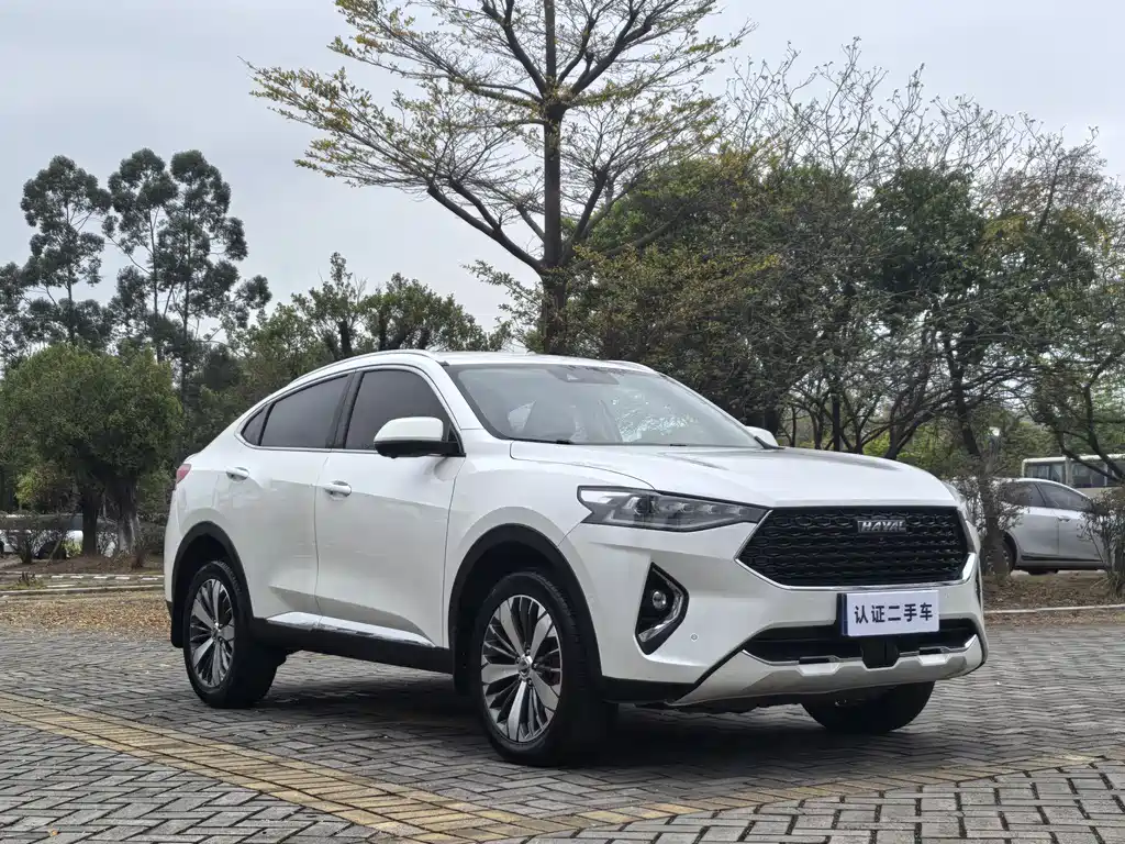 HAVAL F7X