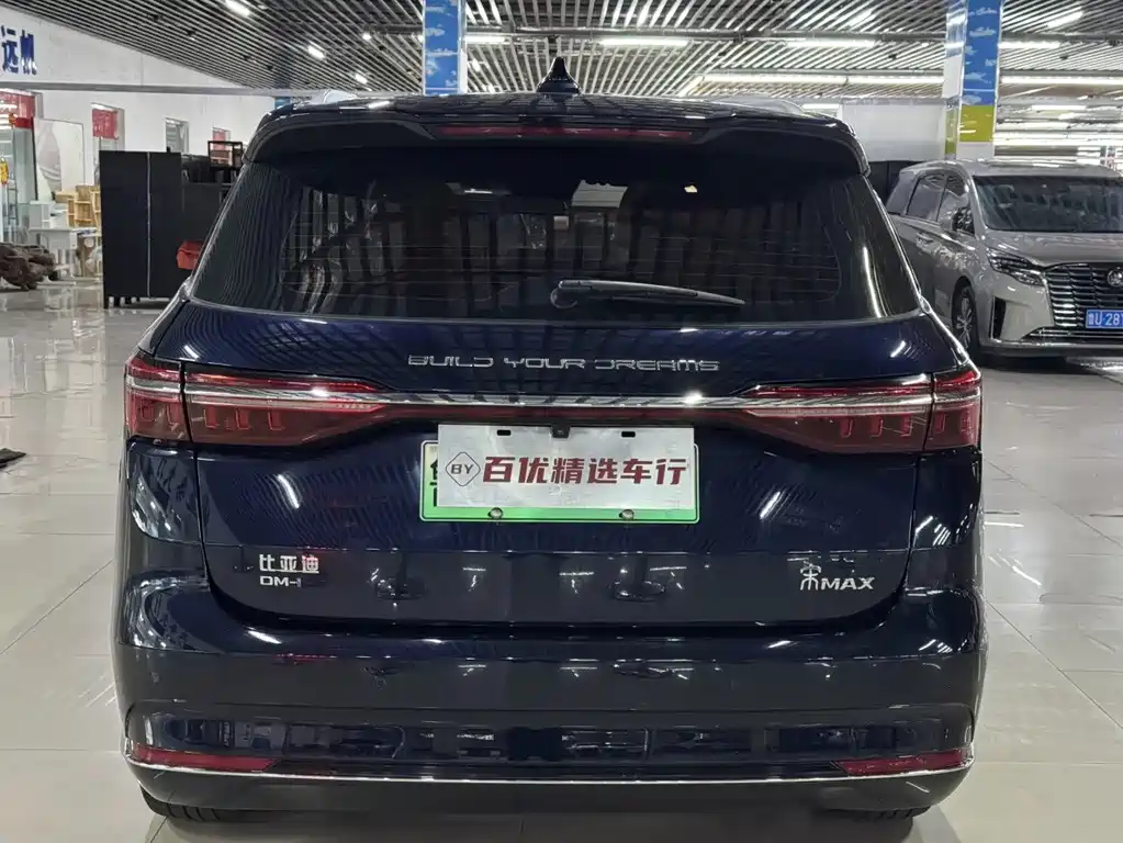 BYD MAX New Energy - фото 5
