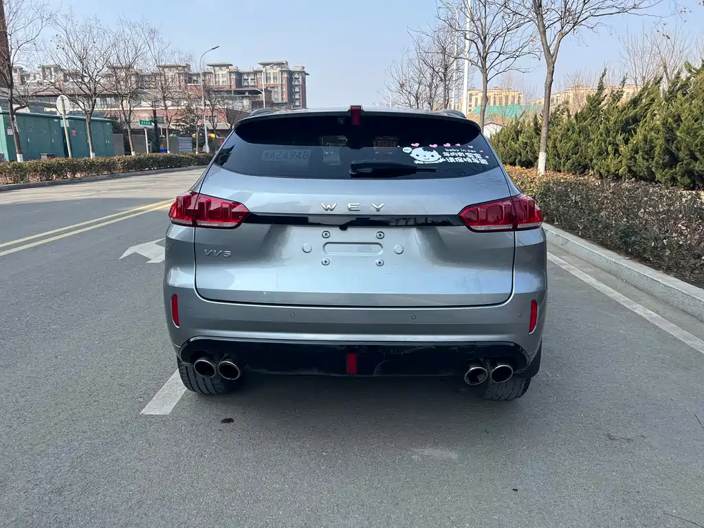 WEI PAI WEI BRAND VV5