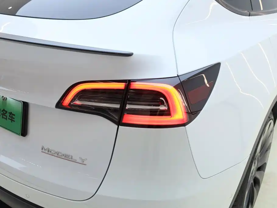 Tesla Model Y — миниатюра 11