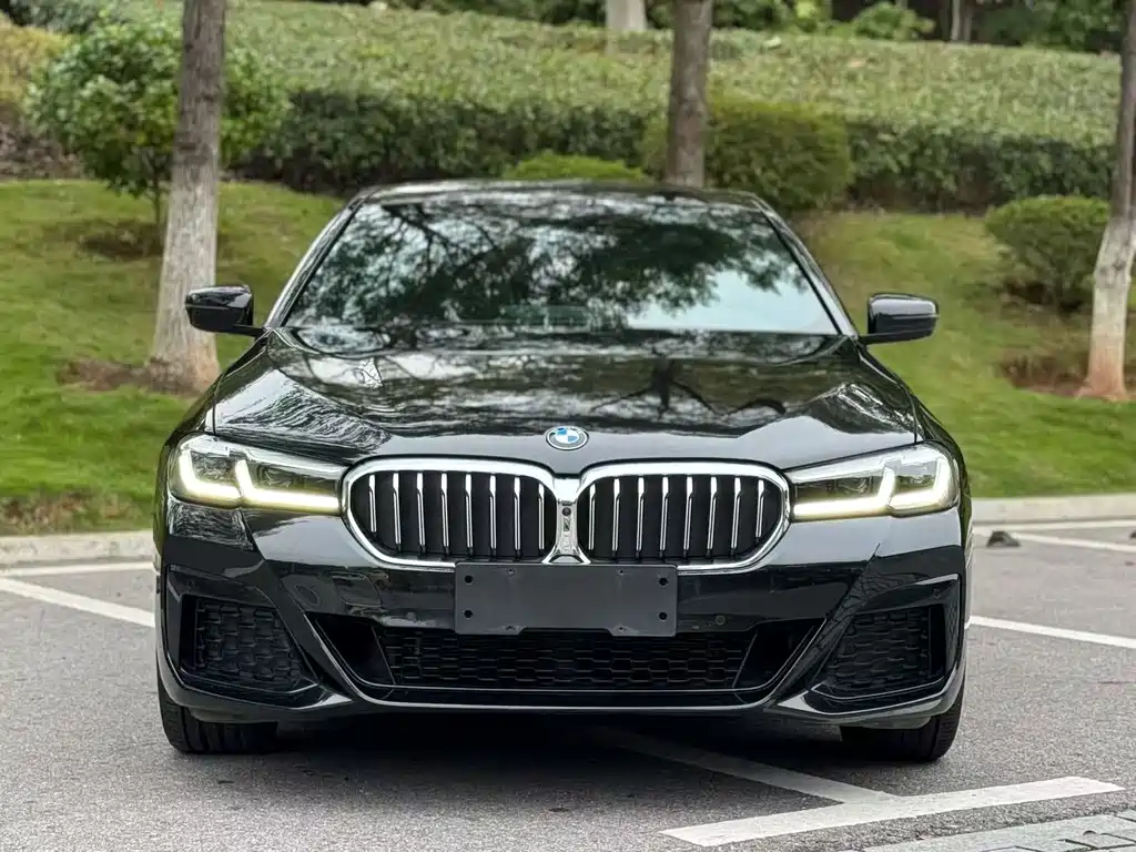 BMW 5 SERIES