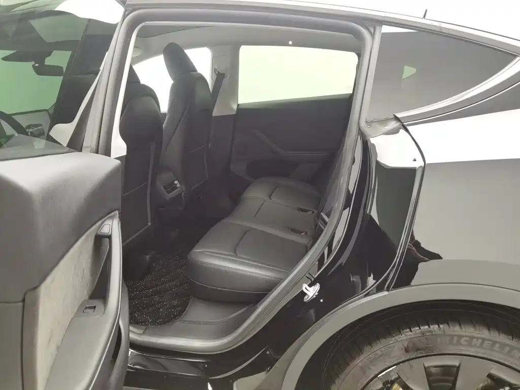 Tesla Model Y — миниатюра 15