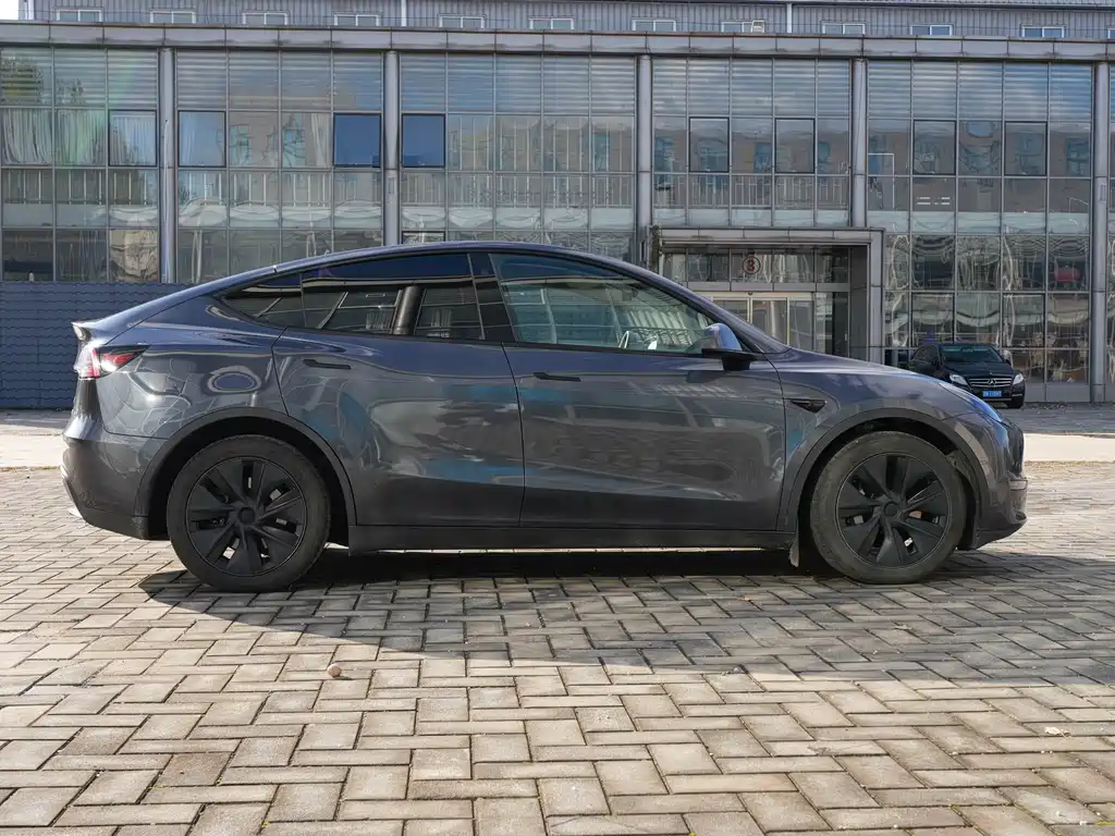 Tesla Model Y — миниатюра 4