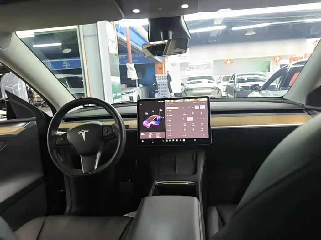 Tesla Model Y — миниатюра 6