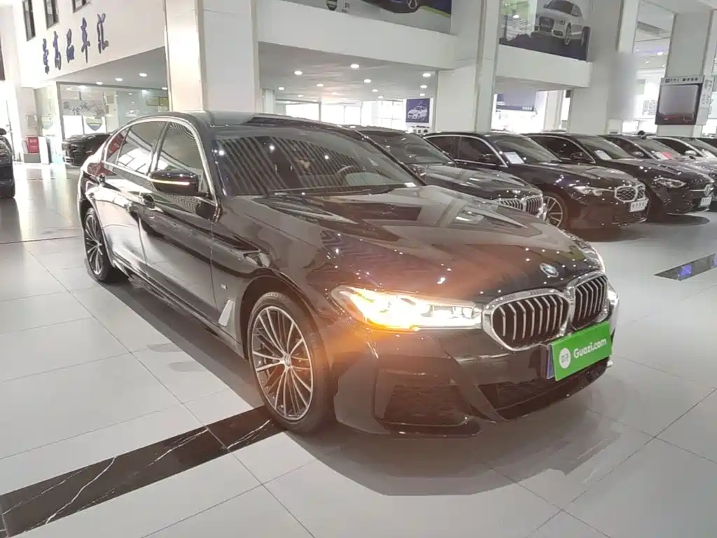 BMW 5 Series — миниатюра 4