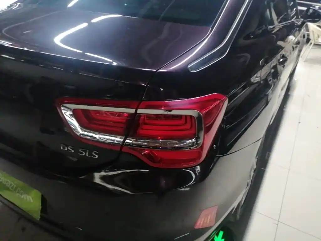 DS DS 5LS — миниатюра 8