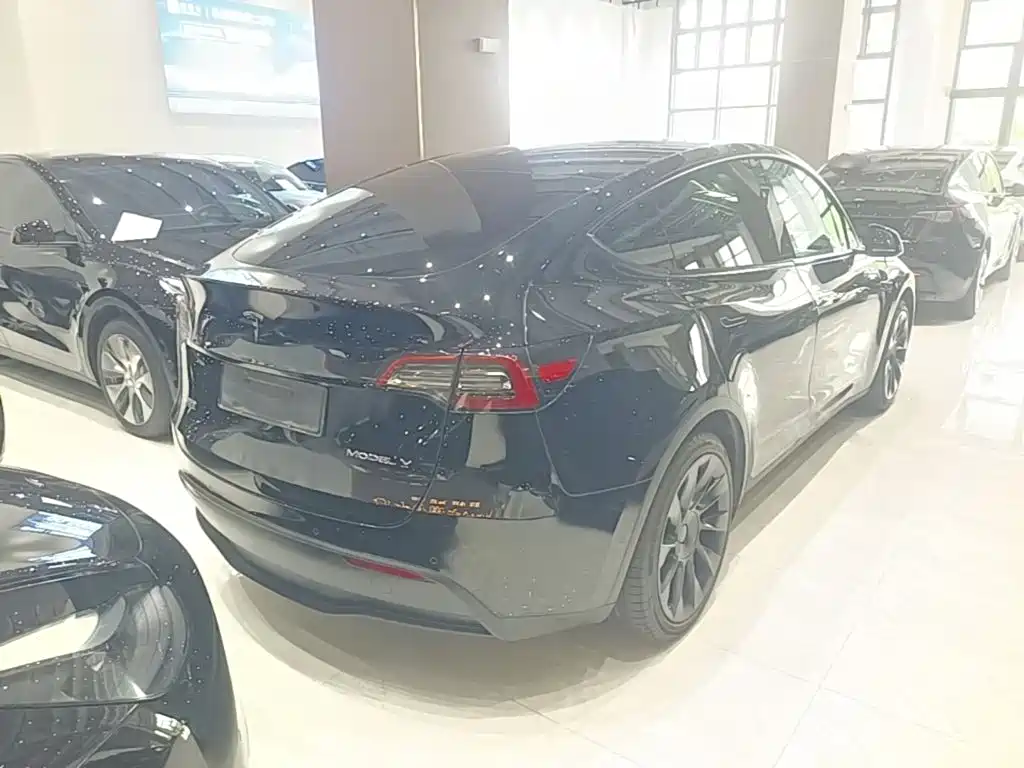 Tesla Model Y — миниатюра 7