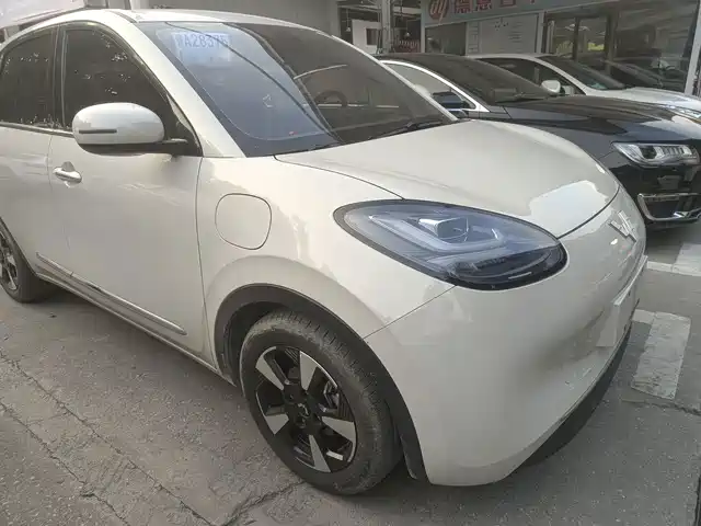Wuling Bingo