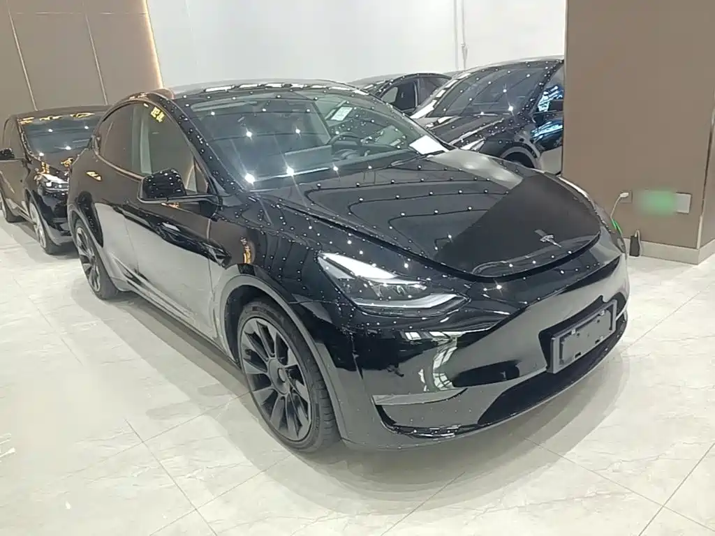 Tesla Model Y — миниатюра 4