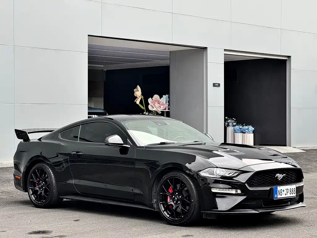 Ford Mustang — миниатюра 3