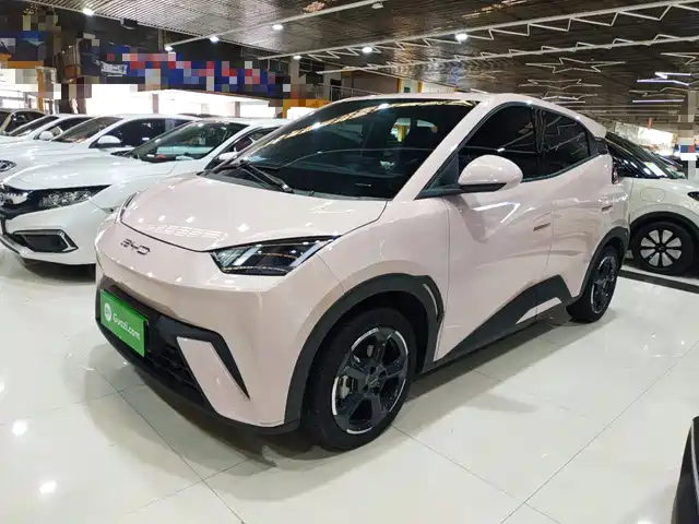 BYD Seagull