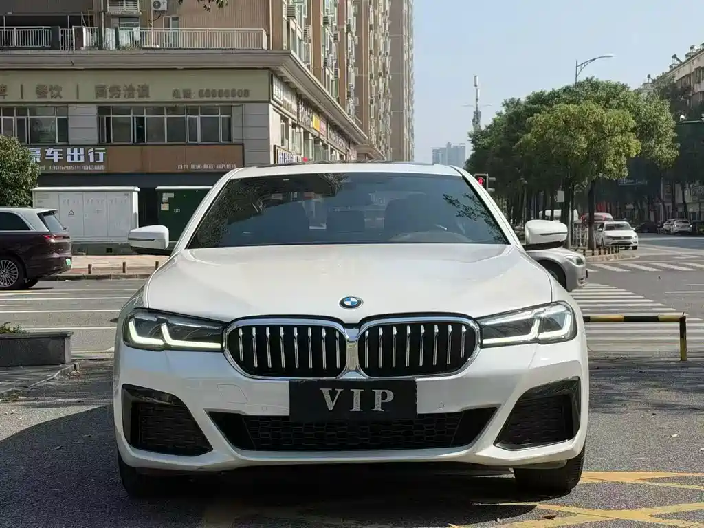 BMW 5 Series — миниатюра 3