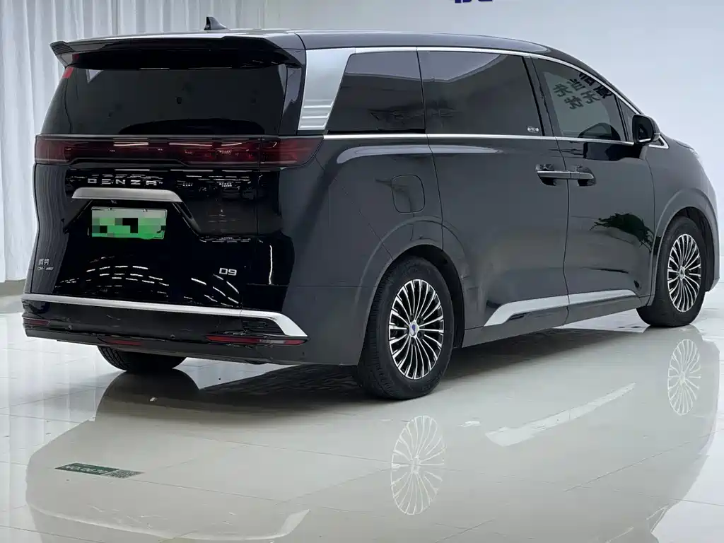 Denza Denza D9 — миниатюра 9