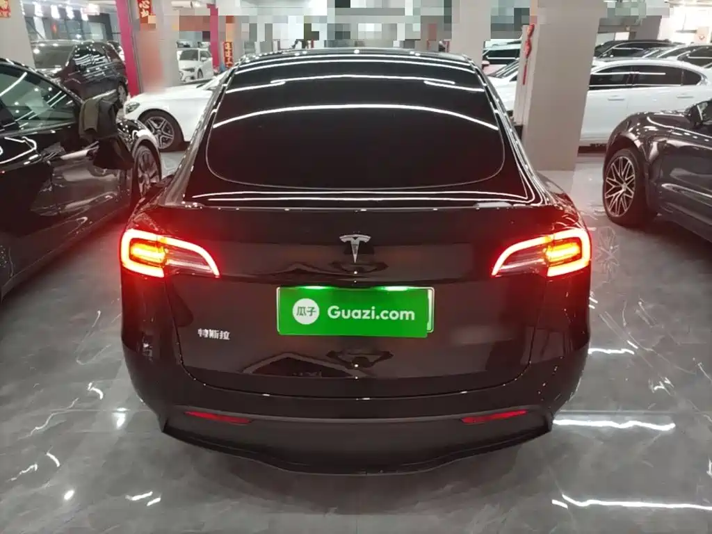 Tesla Model Y — миниатюра 6