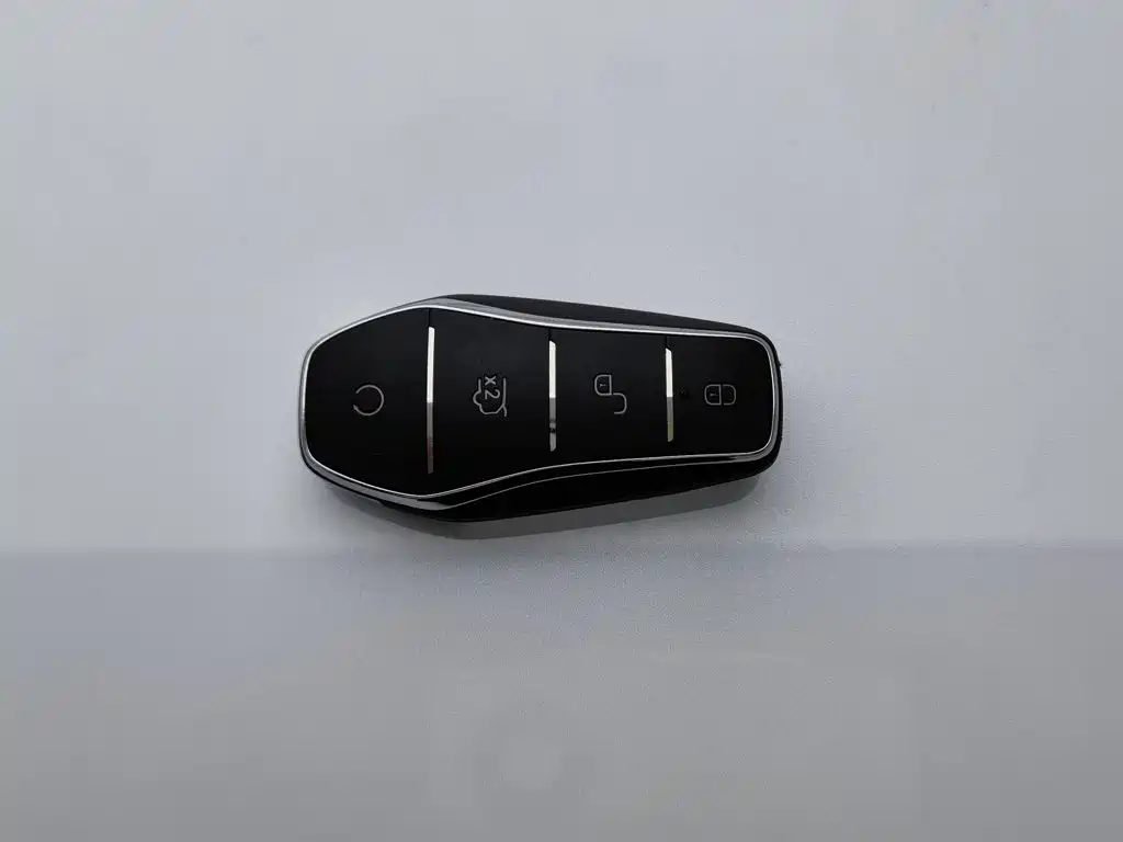 BYD PLUS New Energy — миниатюра 19