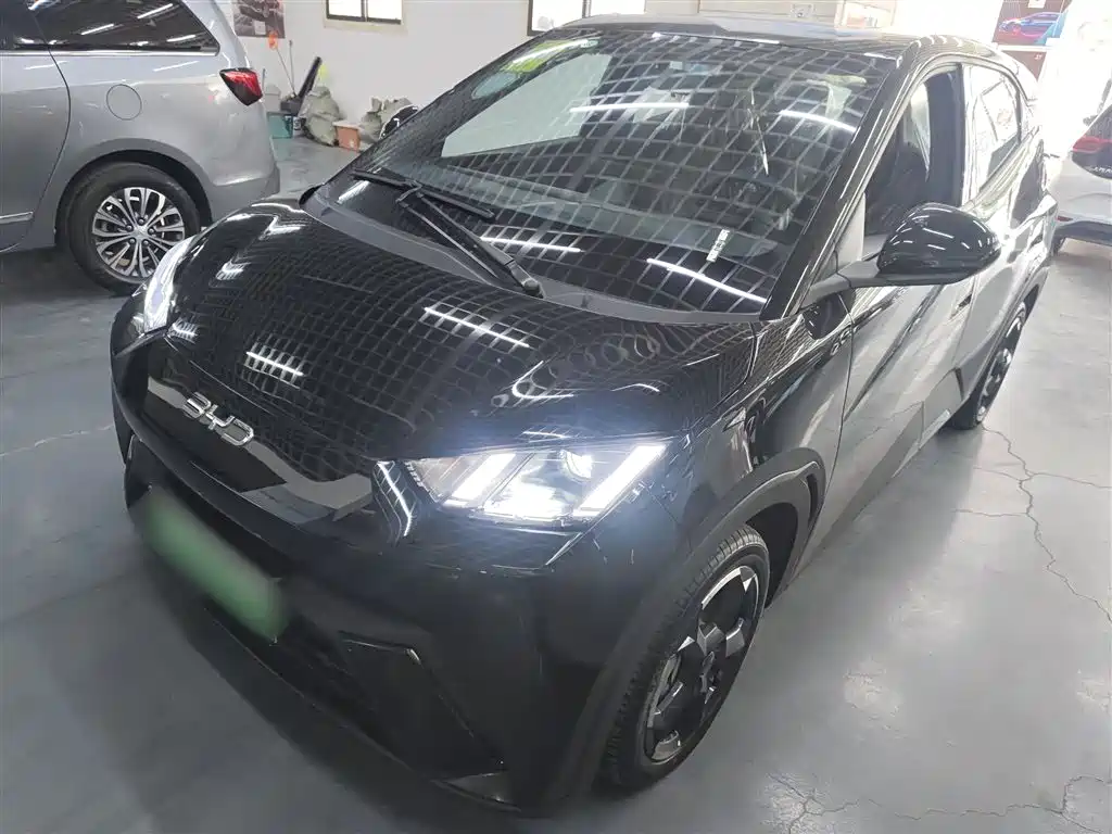 Byd Seagull 2025